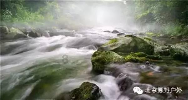 如何策划最佳足球运动员网络投票评选活动？